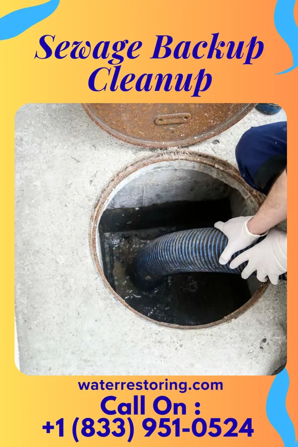 Sewage Backup Cleanup in Perry, IA